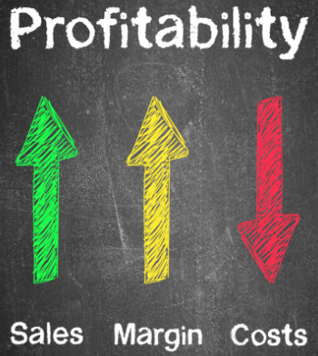 Examples of Profitability Ratios: How to Calculate and Interpret Them ...